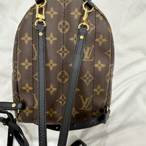 Palm Springs Mini - Picture 6 of 6